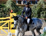 TOSCANO LOVE 2 GioCav2013 S5 1841 : Campionati Italiani Giovani Cavalli, Cattolica, LOVE 2, TOSCANO LORENZO, ph Stefano Secchi ©